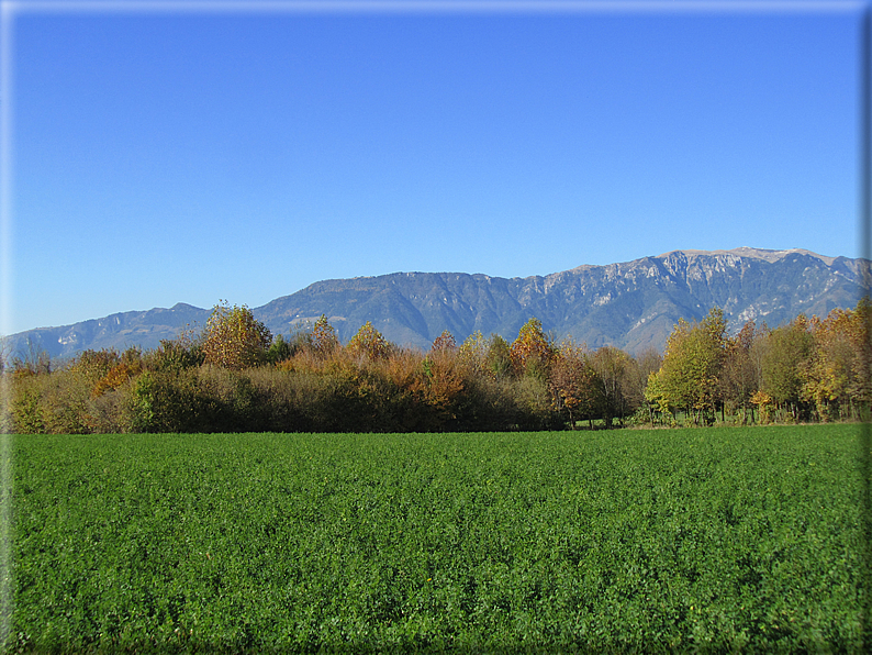 foto Paesaggi Autunnali tra le colline Fontesi